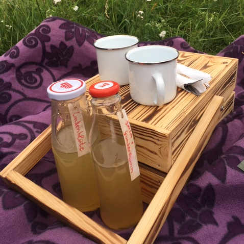 Rückblick „Picknick am Hohen Stein“